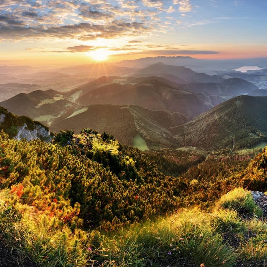 Colorado nature landscape